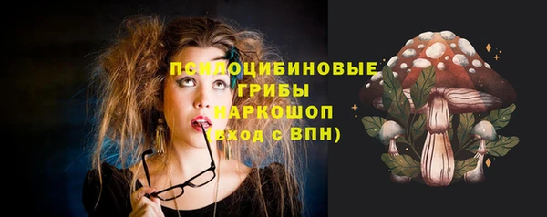 винт Богородицк